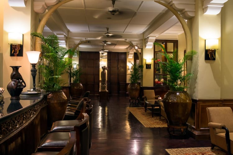 Elephant Bar